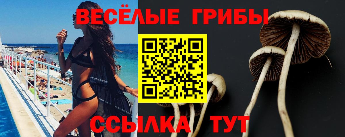 Галлюциногенные грибы прущие грибы  Галлюциногенные грибы ЛСД  Бердск  Вход с VPN 