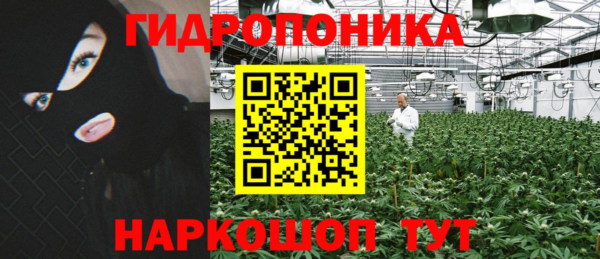 Конопля гибрид  МАРИХУАНА ГИДРОПОН  Бошки марихуана Amnesia  МАРИХУАНА SATIVA & INDICA  Бердск  Вход с VPN 